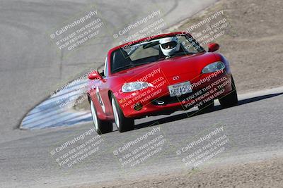 media/Apr-28-2024-Speed SF (Sun) [[c704f5d5b5]]/Blue/Phil Hill/